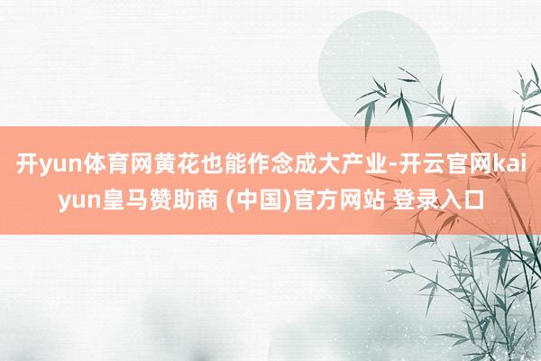 开yun体育网黄花也能作念成大产业-开云官网kaiyun皇马赞助商 (中国)官方网站 登录入口