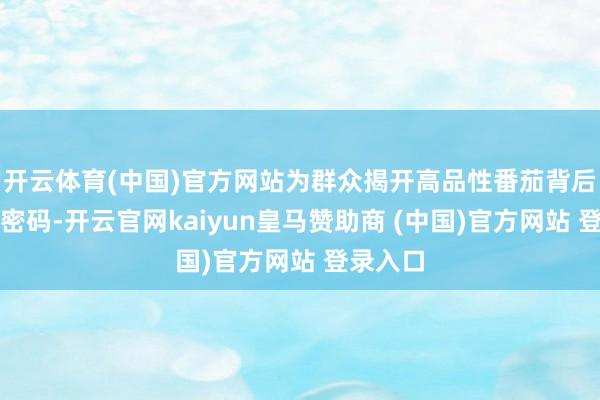 开云体育(中国)官方网站为群众揭开高品性番茄背后的科技密码-开云官网kaiyun皇马赞助商 (中国)官方网站 登录入口