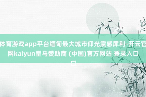 体育游戏app平台缅甸最大城市仰光震感犀利-开云官网kaiyun皇马赞助商 (中国)官方网站 登录入口